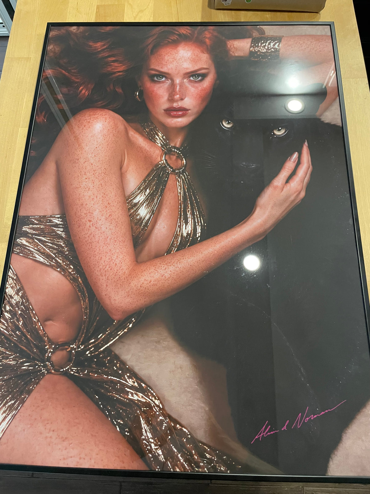 Affiche « The Velvet Panther »