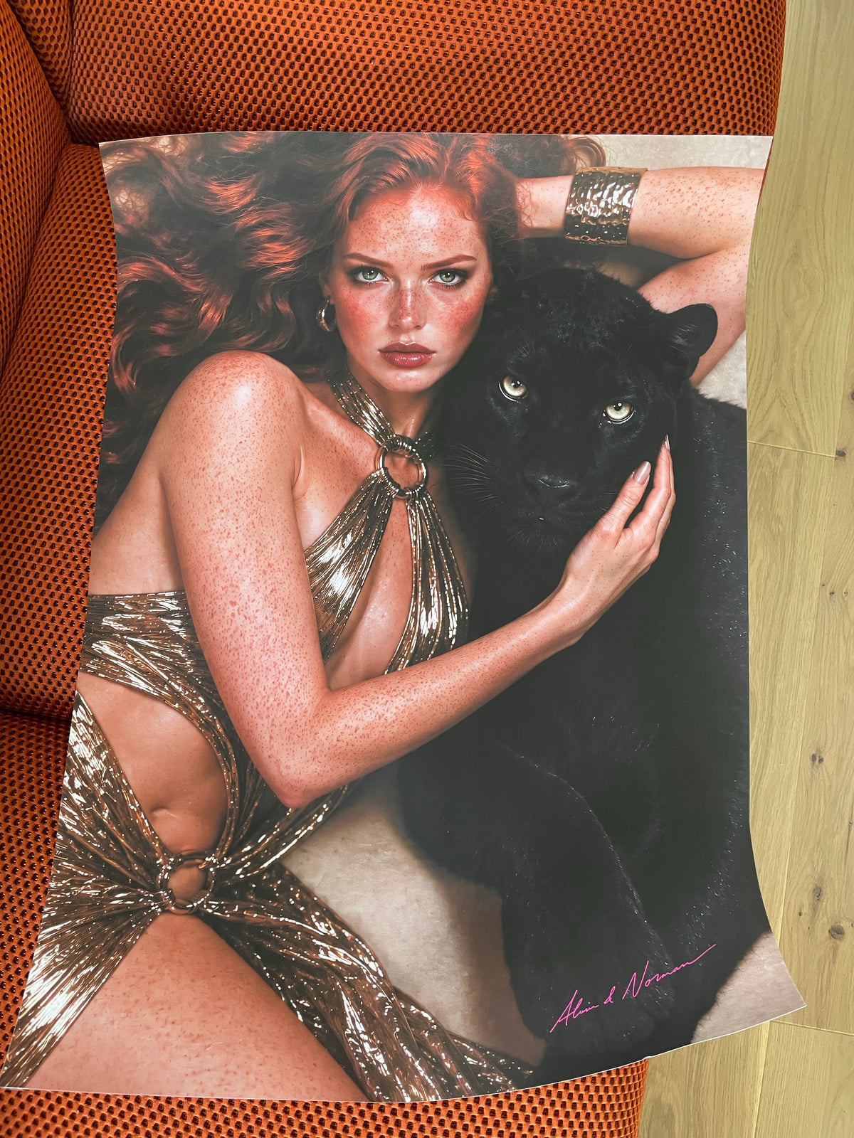 Affiche « The Velvet Panther »